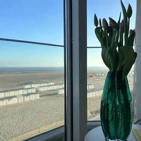 아파트 Volledig Gerenoveerd 2 Slaapkamer Met Zeezicht! 크노케-하이스트